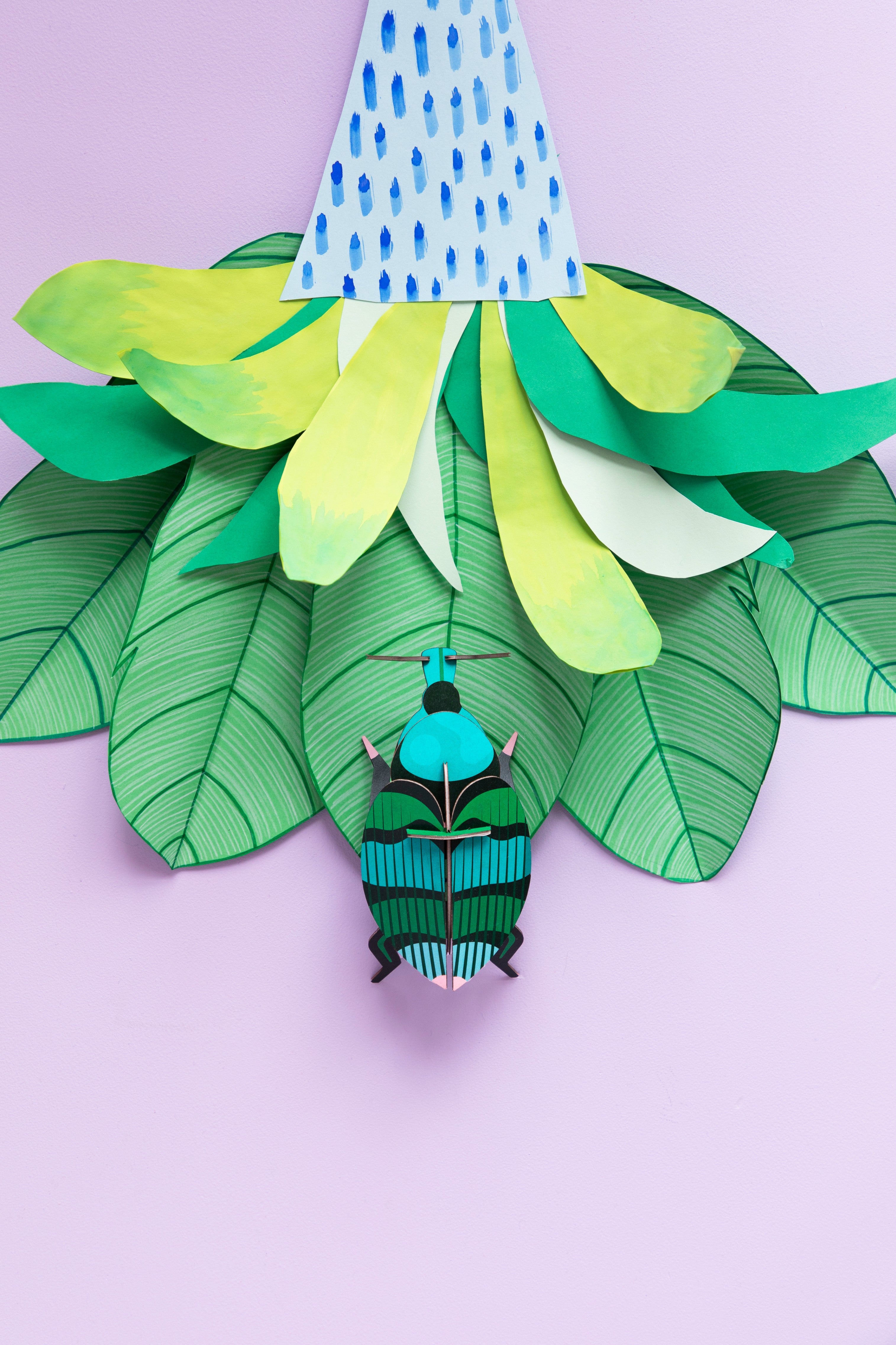 Weevil Beetle - Studio ROOF
