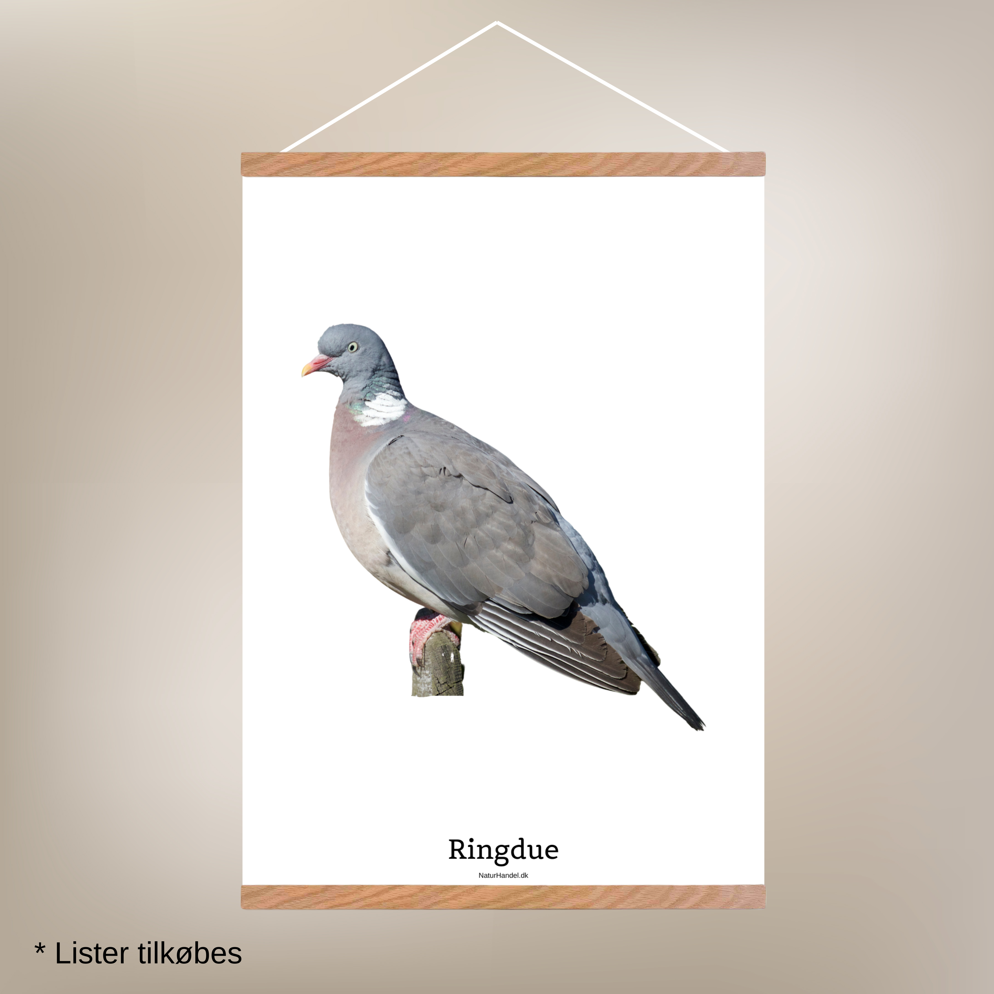 Ringdue