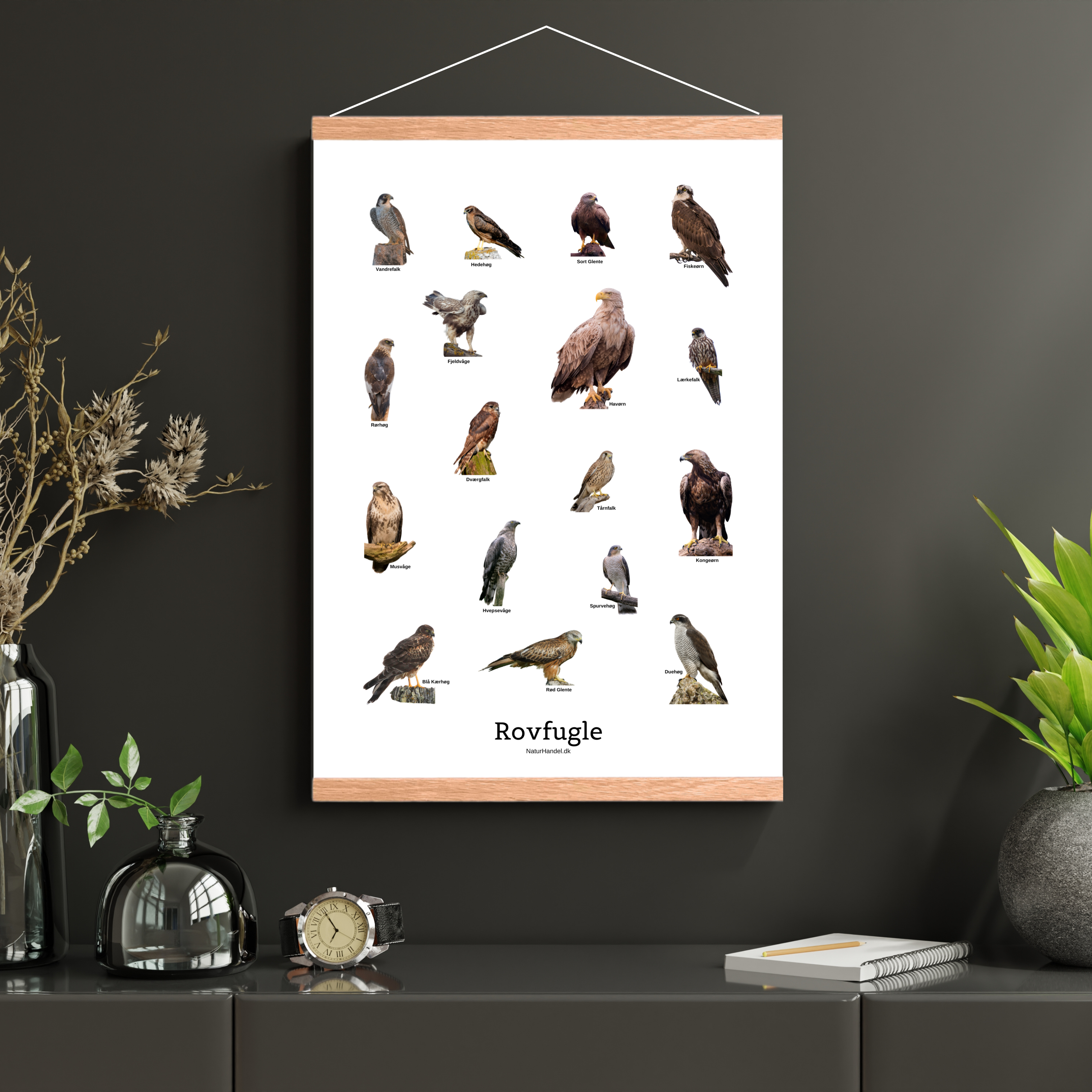 Siddende Rovfugle Plakat