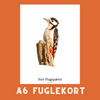 STOR FLAGSPÆTTE A6 FUGLEKORT - PR. STK.