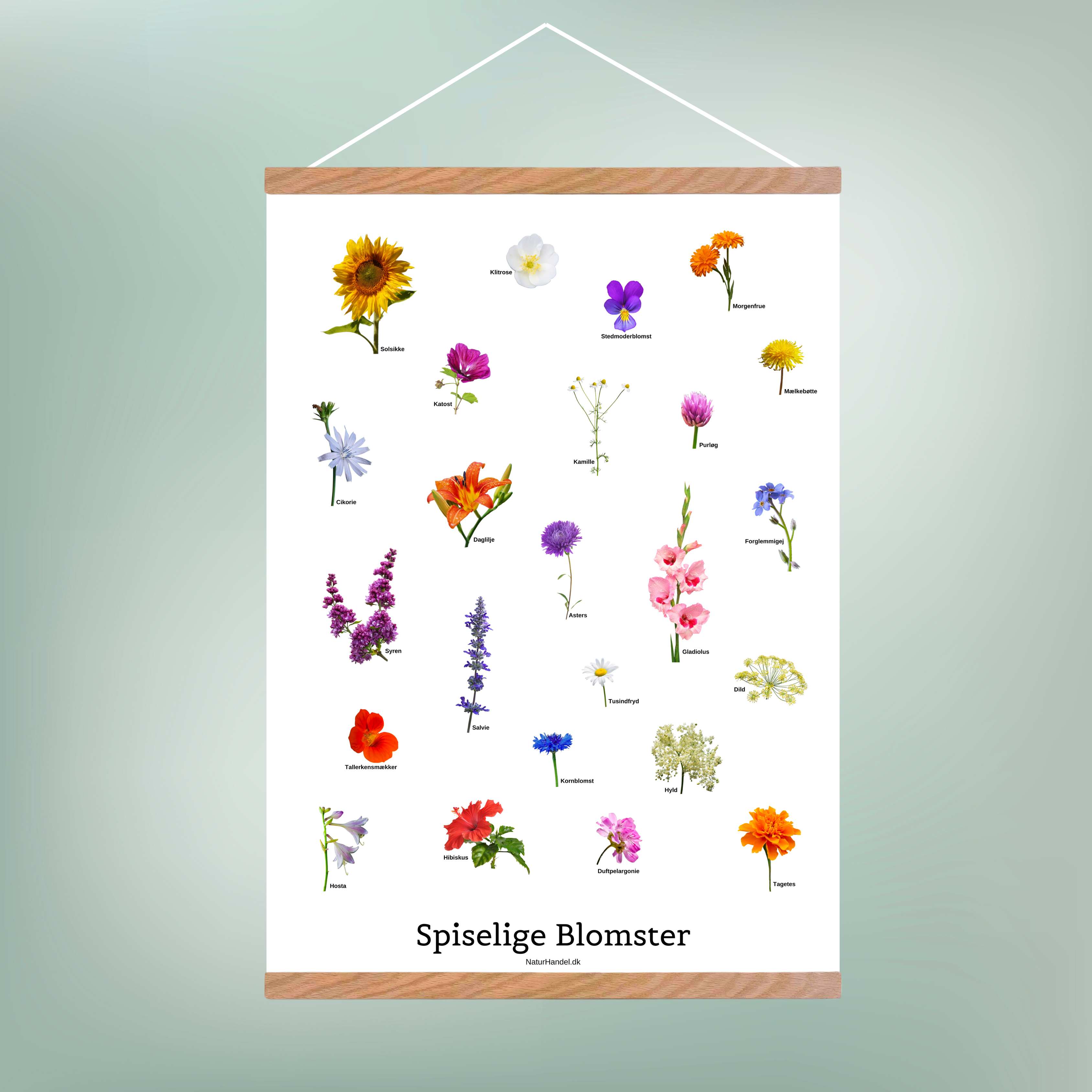 Spiselige Blomster Plakat
