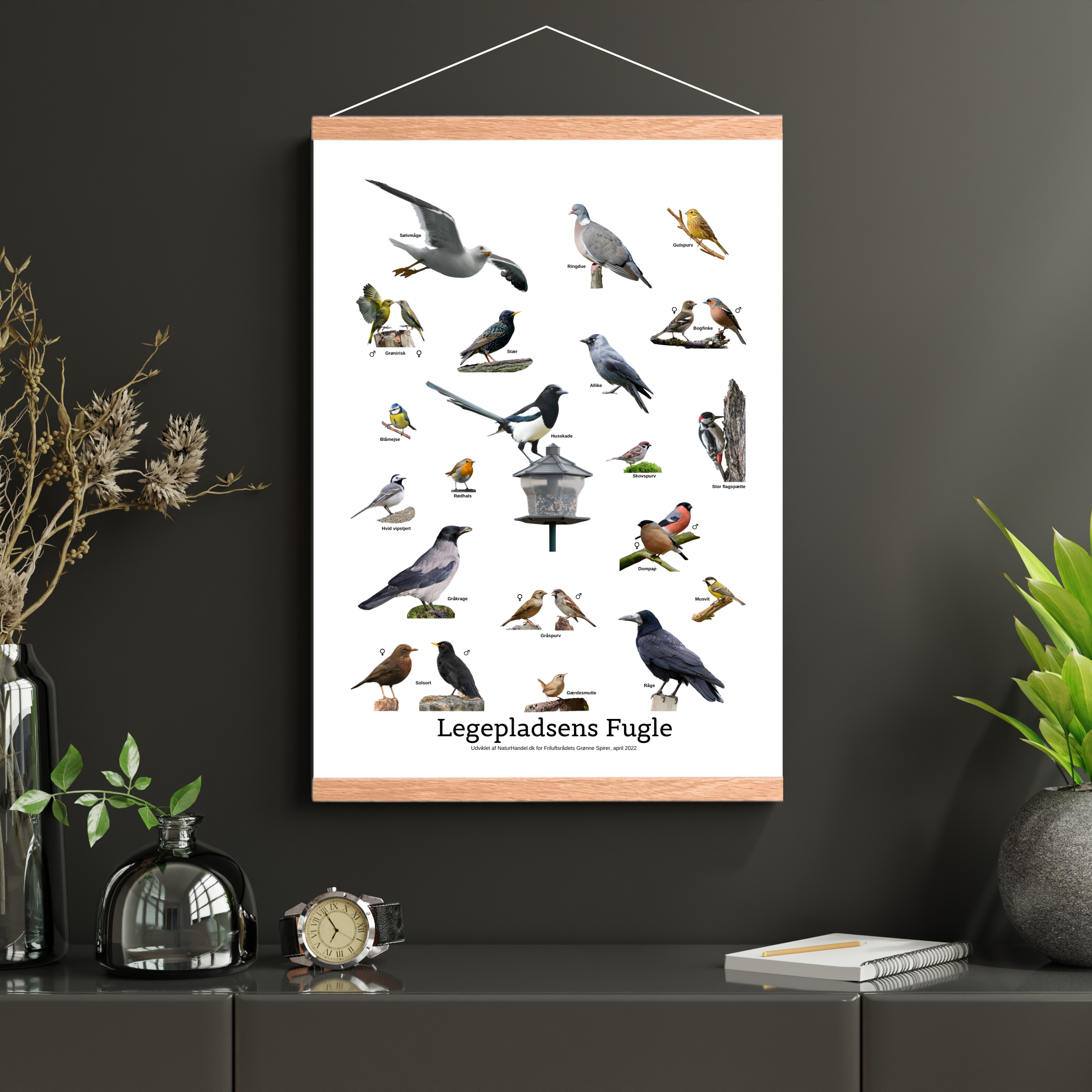 Legepladsens Fugle Plakat