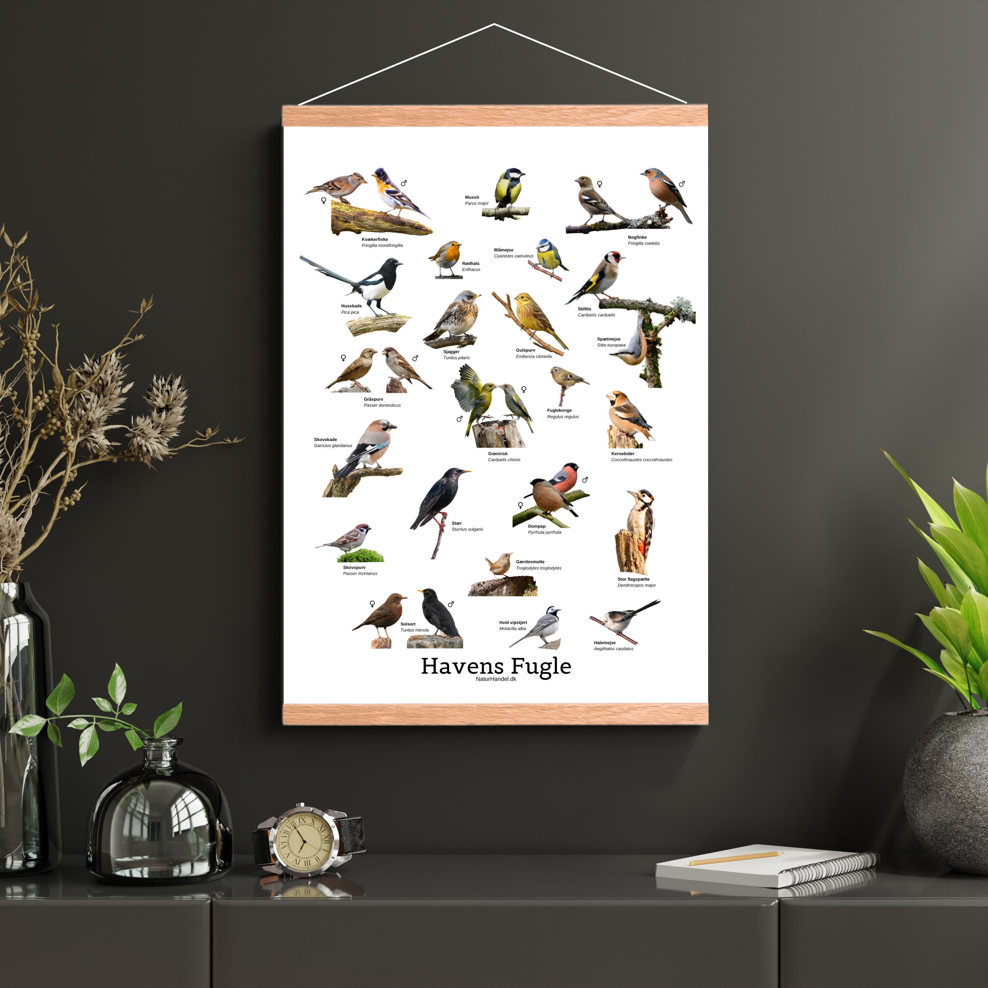 Havens Fugle Plakat