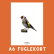 STILLITS A6 FUGLEKORT - PR. STK.