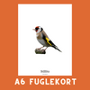 STILLITS A6 FUGLEKORT - PR. STK.