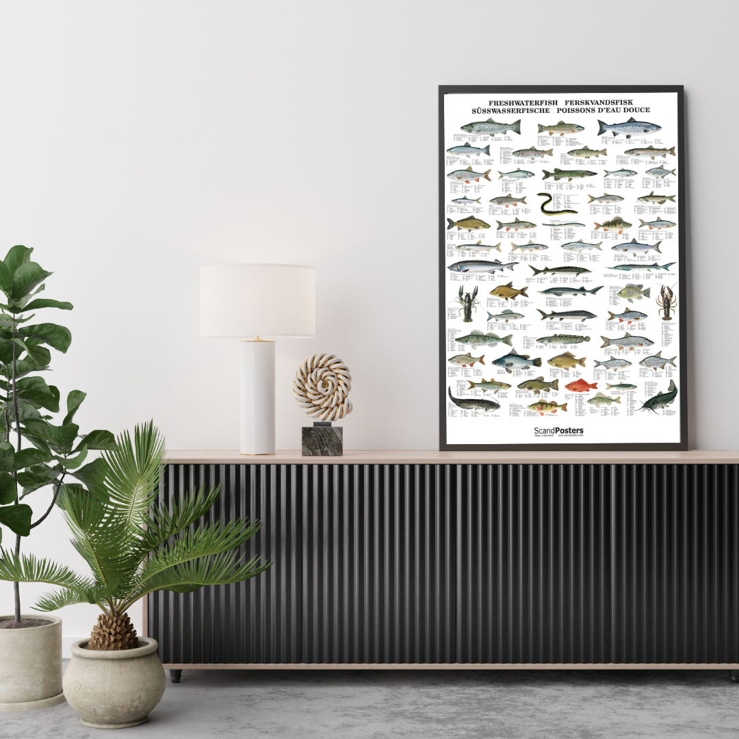 Ferskvandsfisk plakat 70x100