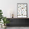 Saltvandsfisk plakat 70x100