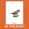 SKOVSPURV A6 FUGLEKORT - PR. STK.