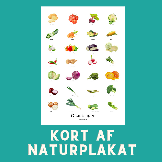 GRØNTSAGER A6 KORT