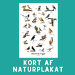 HAVENS FUGLE A6 KORT