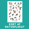 HAVENS FUGLE A6 KORT