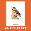 KERNEBIDER A6 FUGLEKORT - PR. STK.
