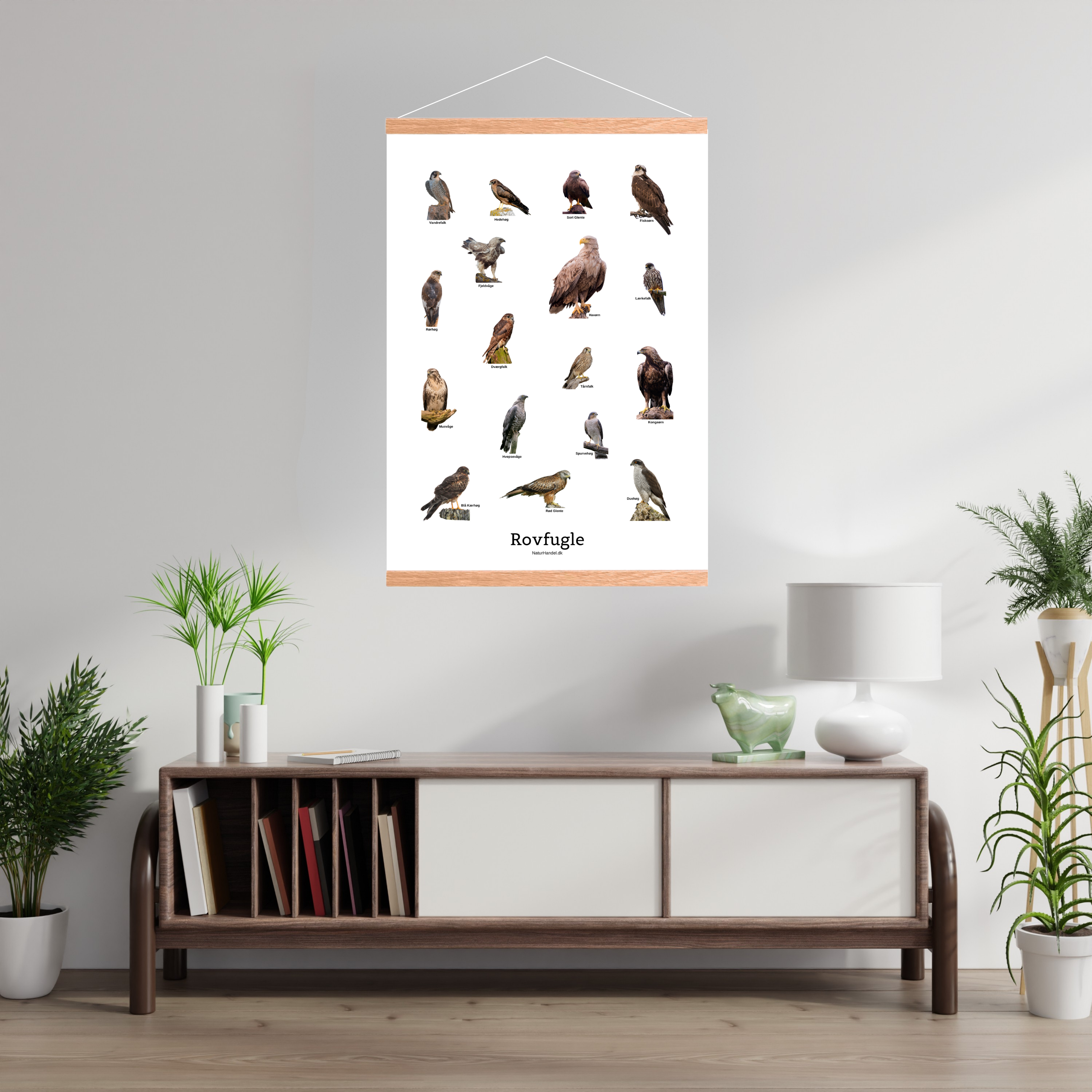 Siddende Rovfugle Plakat