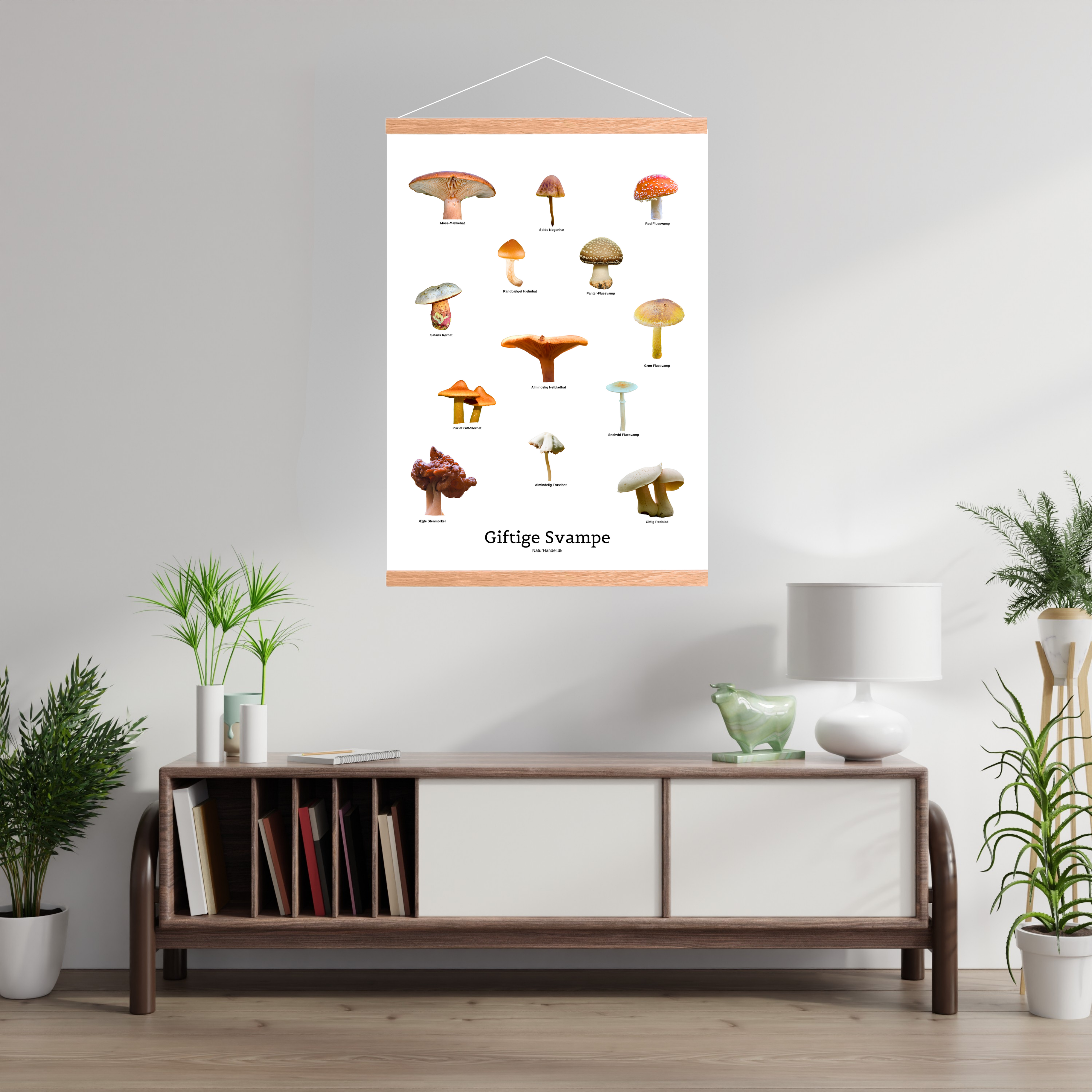 Giftige Svampe Plakat