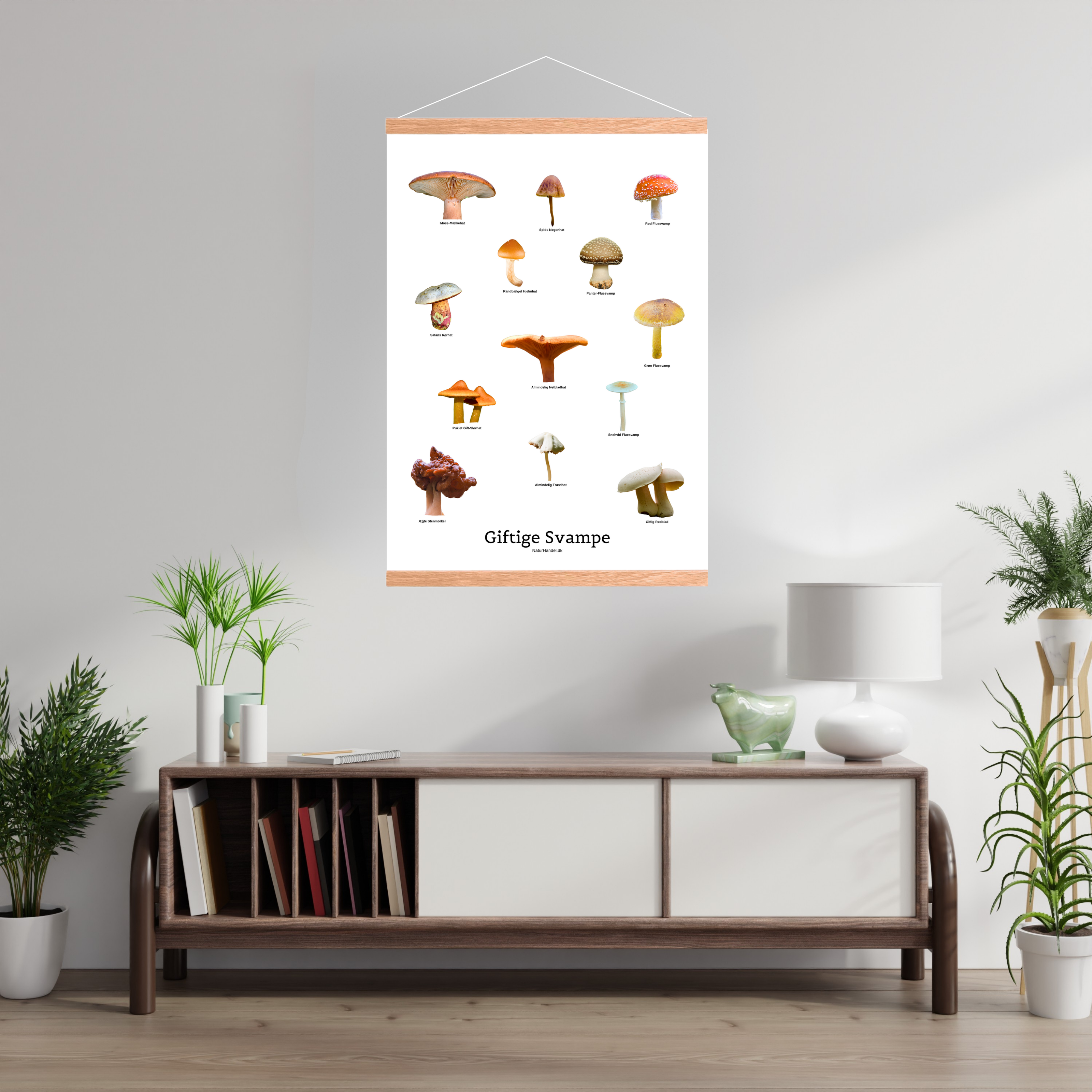 Giftige Svampe Plakat