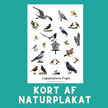 LEGEPLADSENS FUGLE A6 KORT