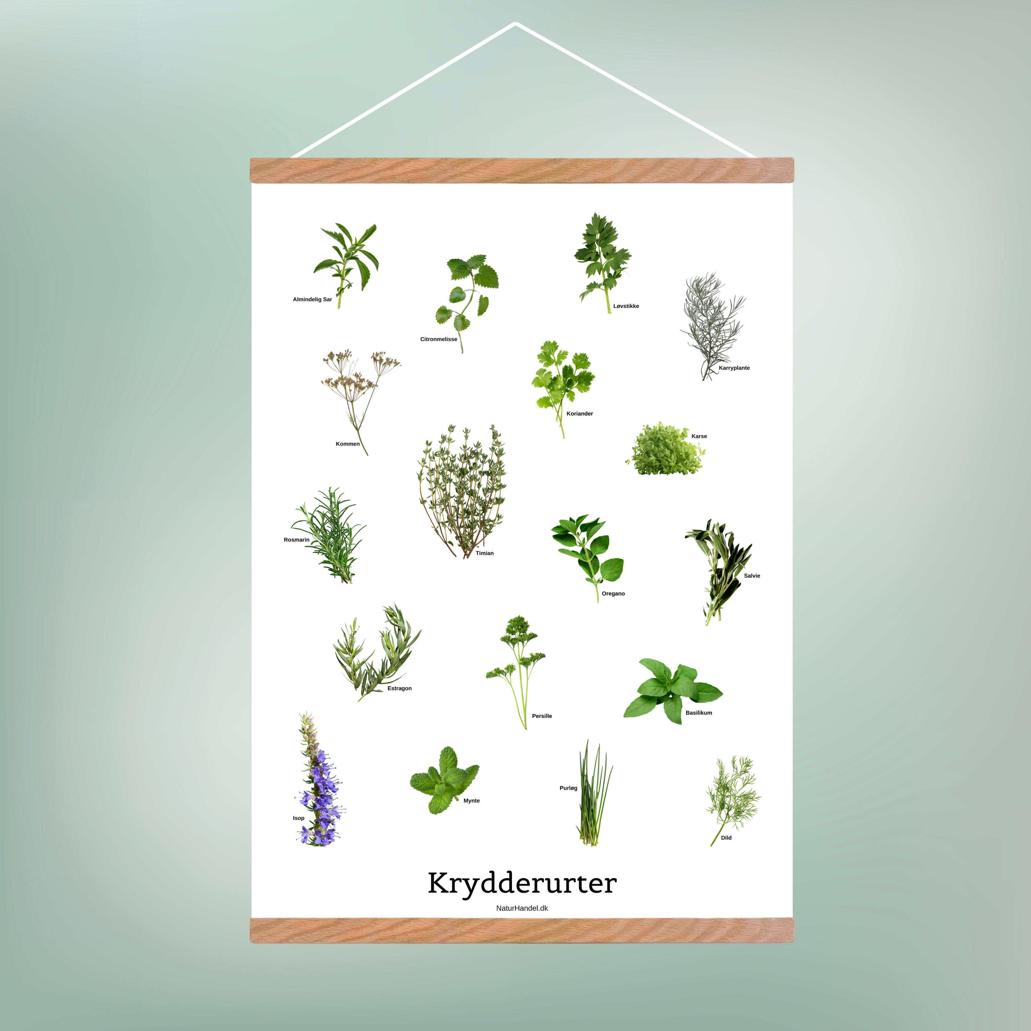 Krydderurter Plakat