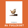GÆRDESMUTTE A6 FUGLEKORT - PR. STK.