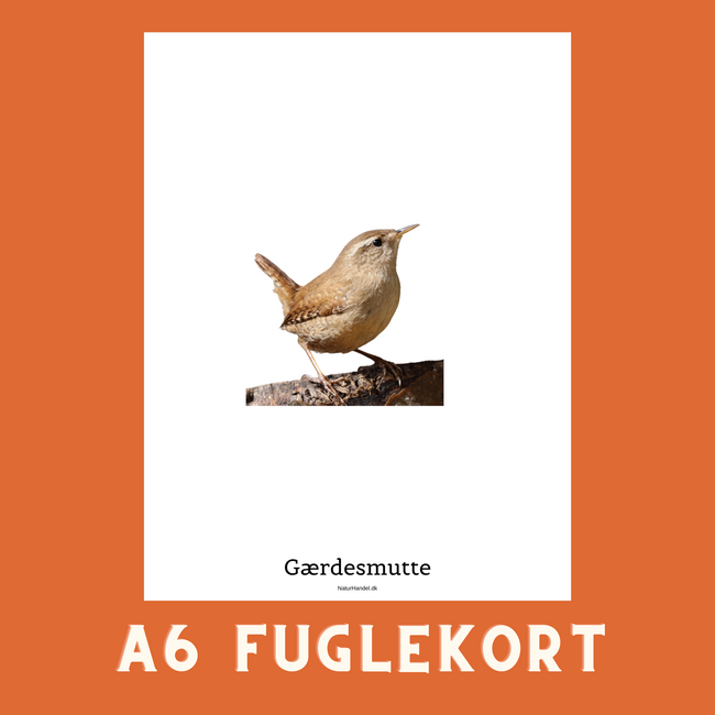 GÆRDESMUTTE A6 FUGLEKORT - PR. STK.