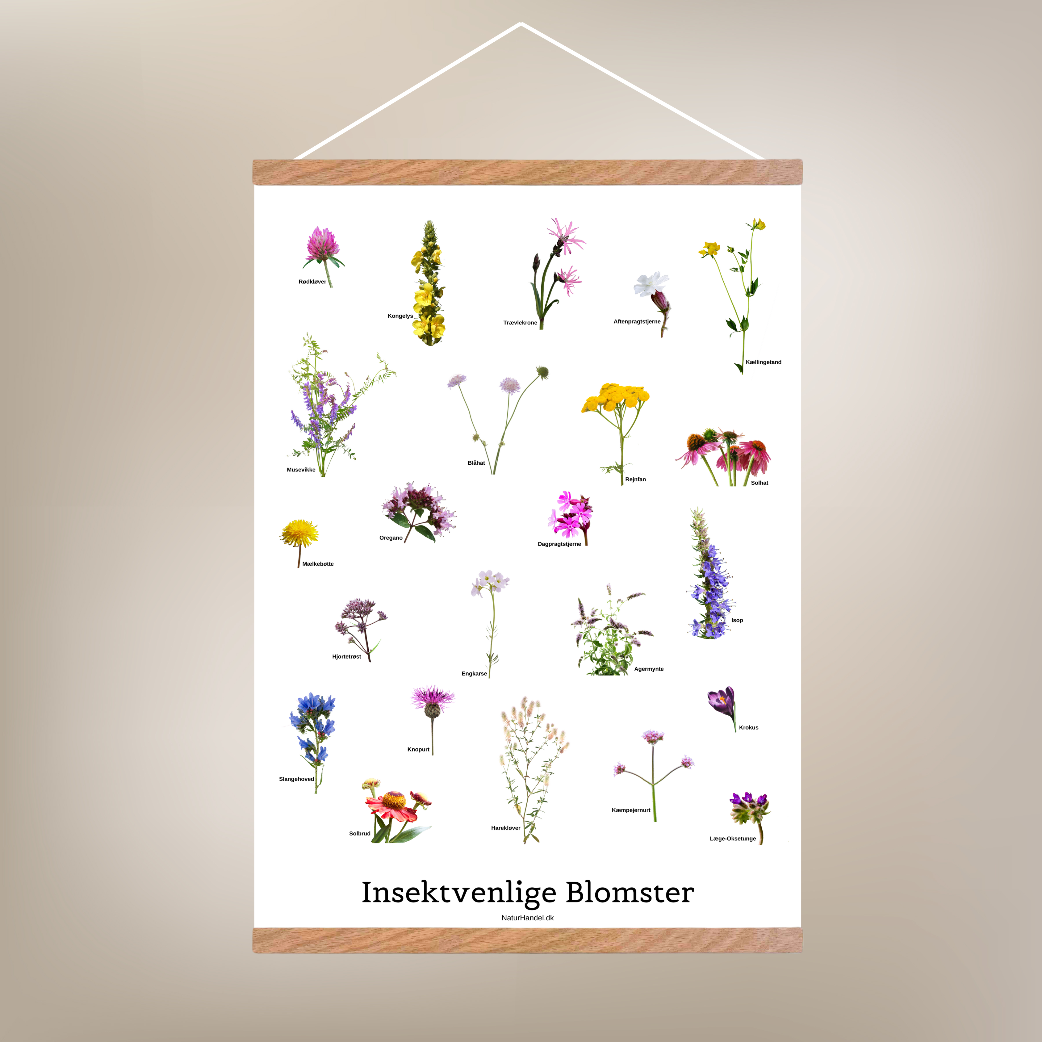 Insektvenlige Blomster Plakat