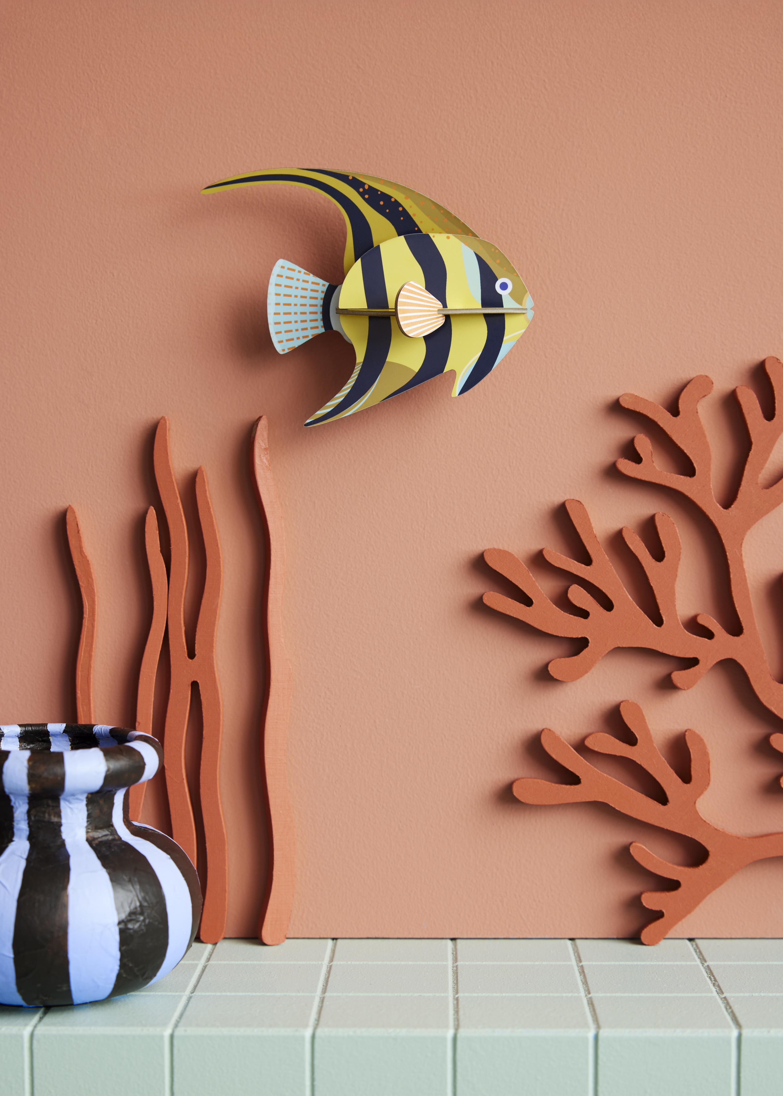 Angelfish - Studio ROOF