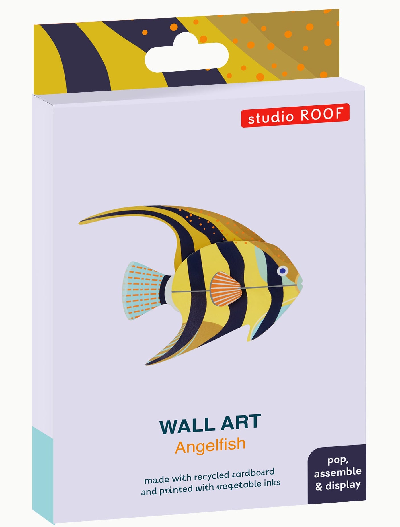 Angelfish - Studio ROOF