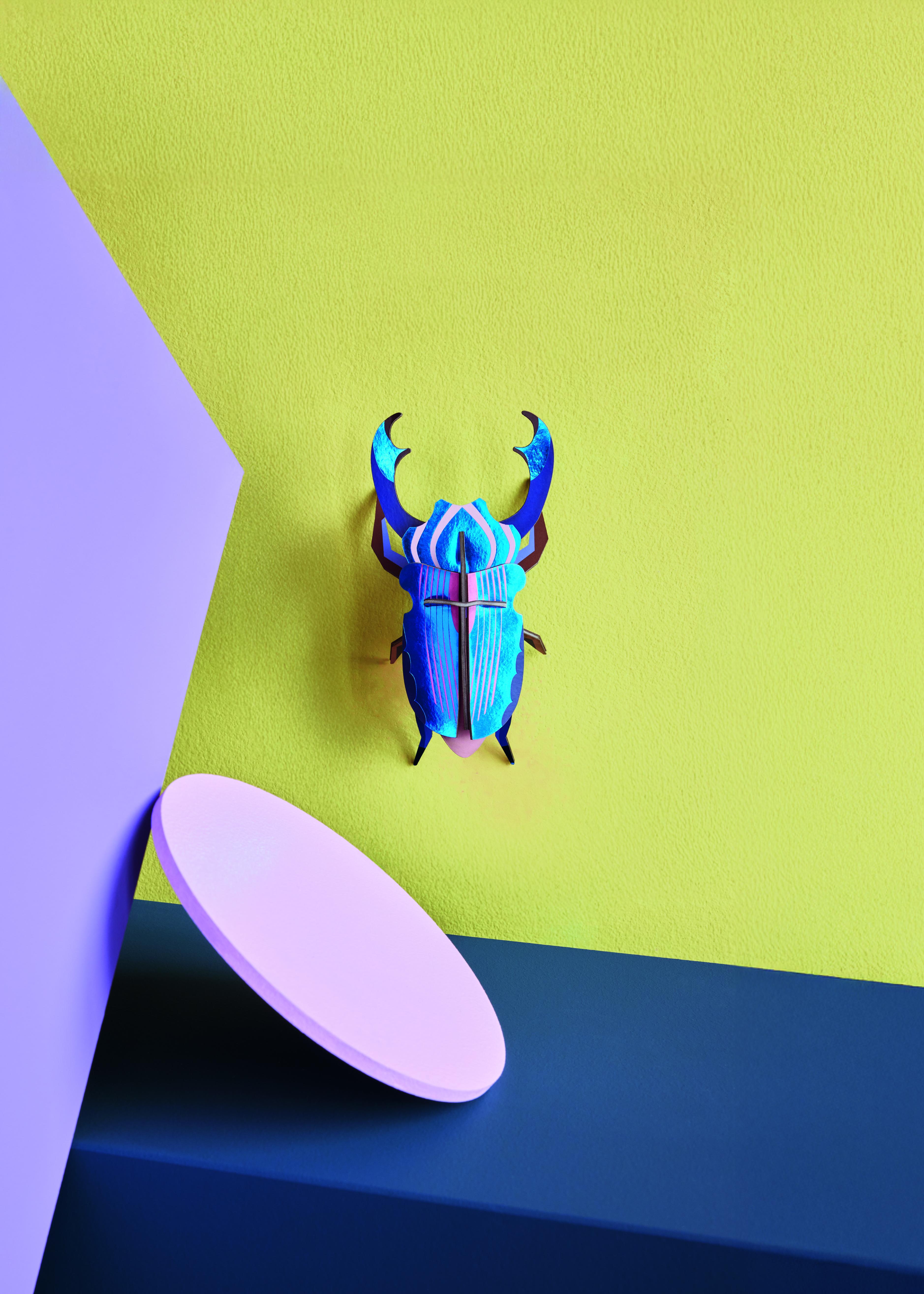 Azure Stag Beetle - Studio ROOF