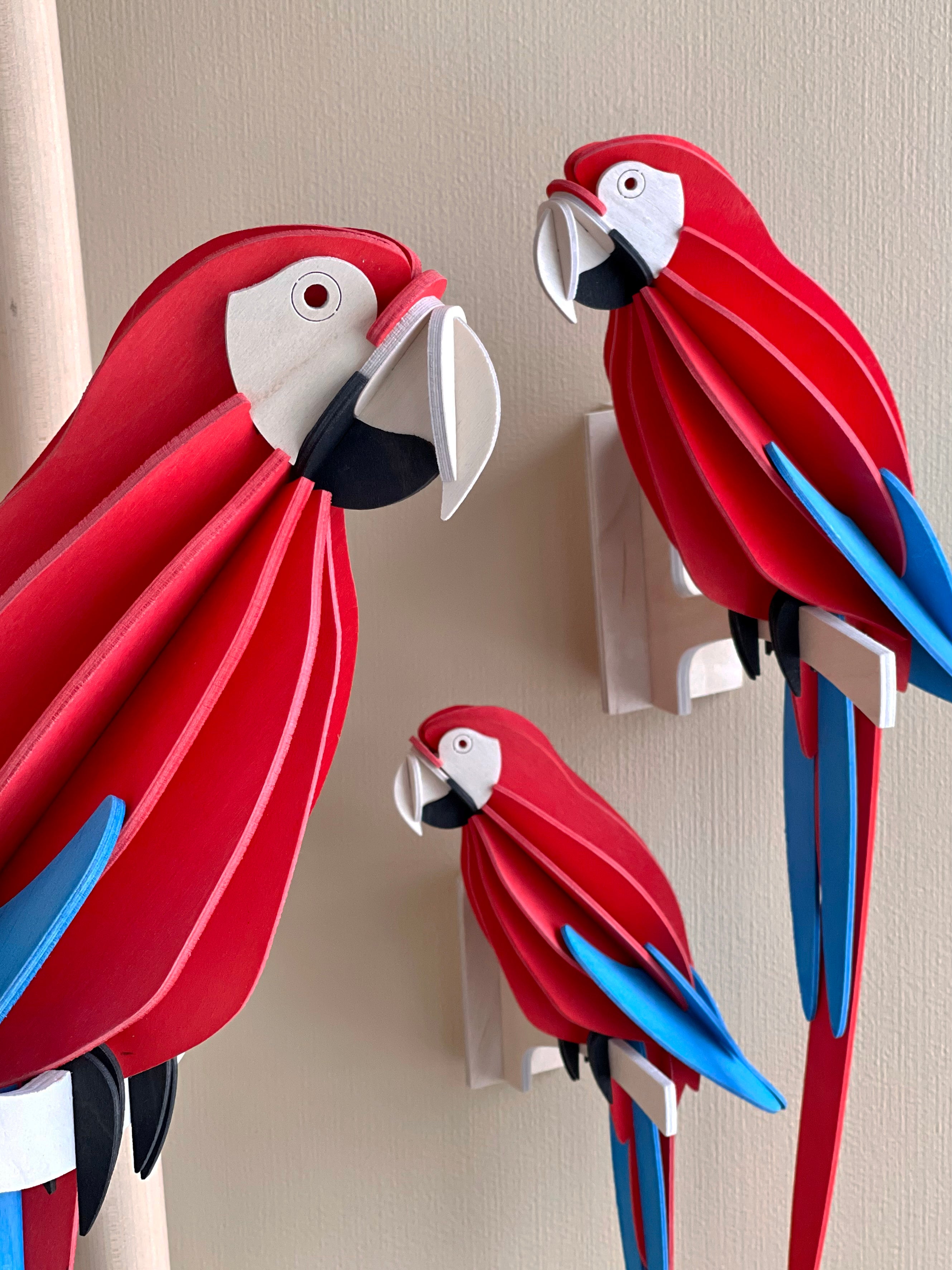 Rød Papegøje - Scarlet Macaw - Lovi