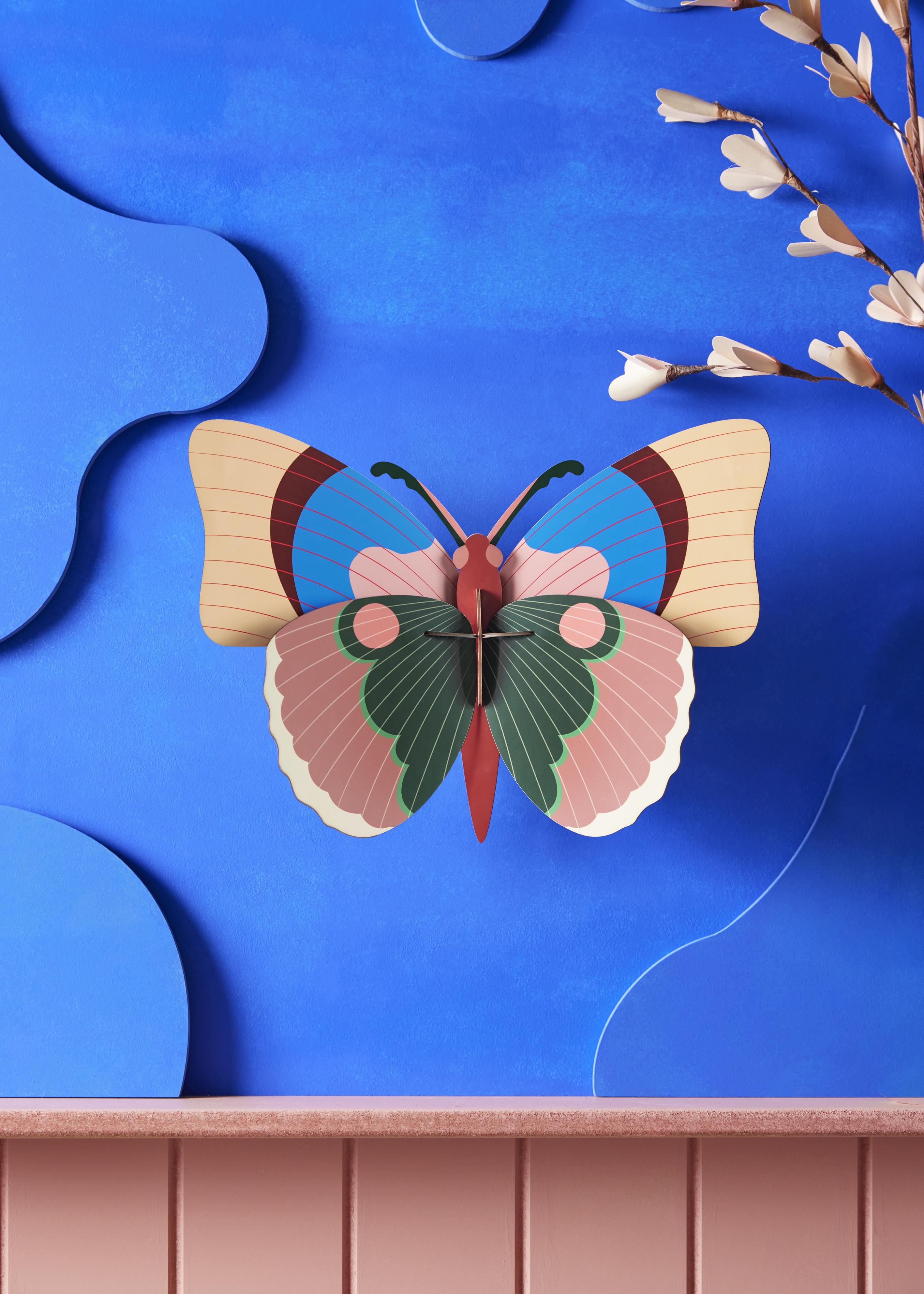 Cepora Butterfly - Studio ROOF
