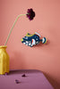Clown Triggerfish - Studio ROOF