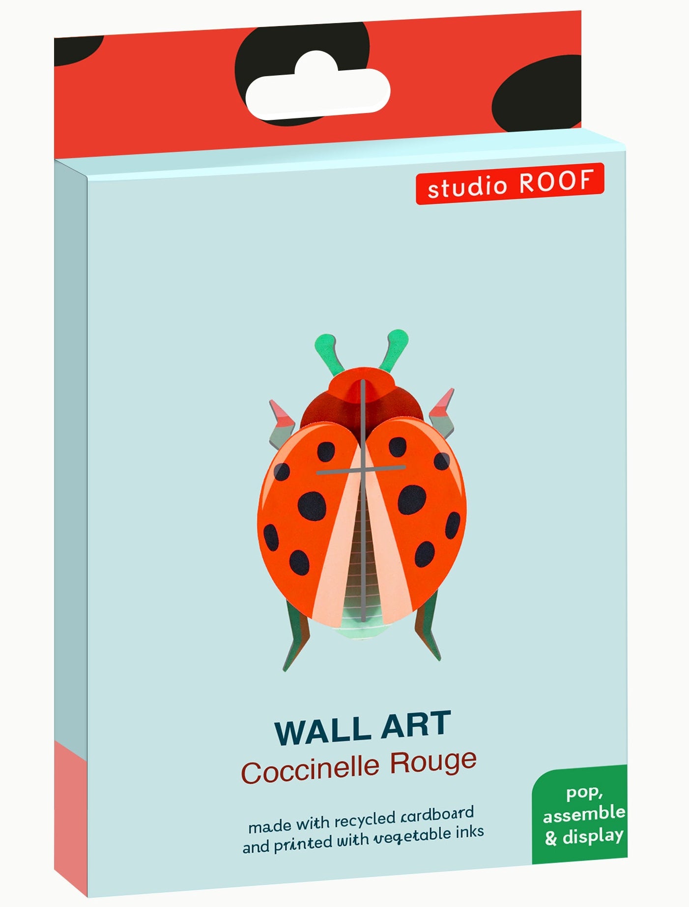 Coccinelle Rouge - Studio ROOF
