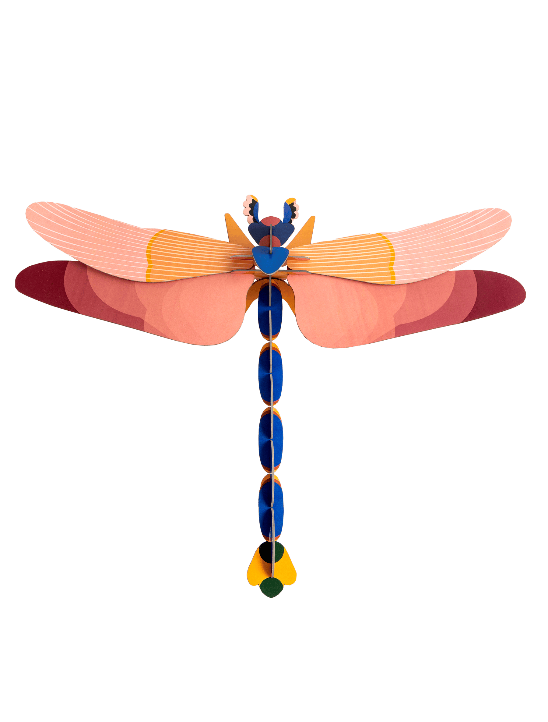 Pink Dragonfly  - Studio ROOF Ver. 1