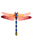 Pink Dragonfly  - Studio ROOF Ver. 1