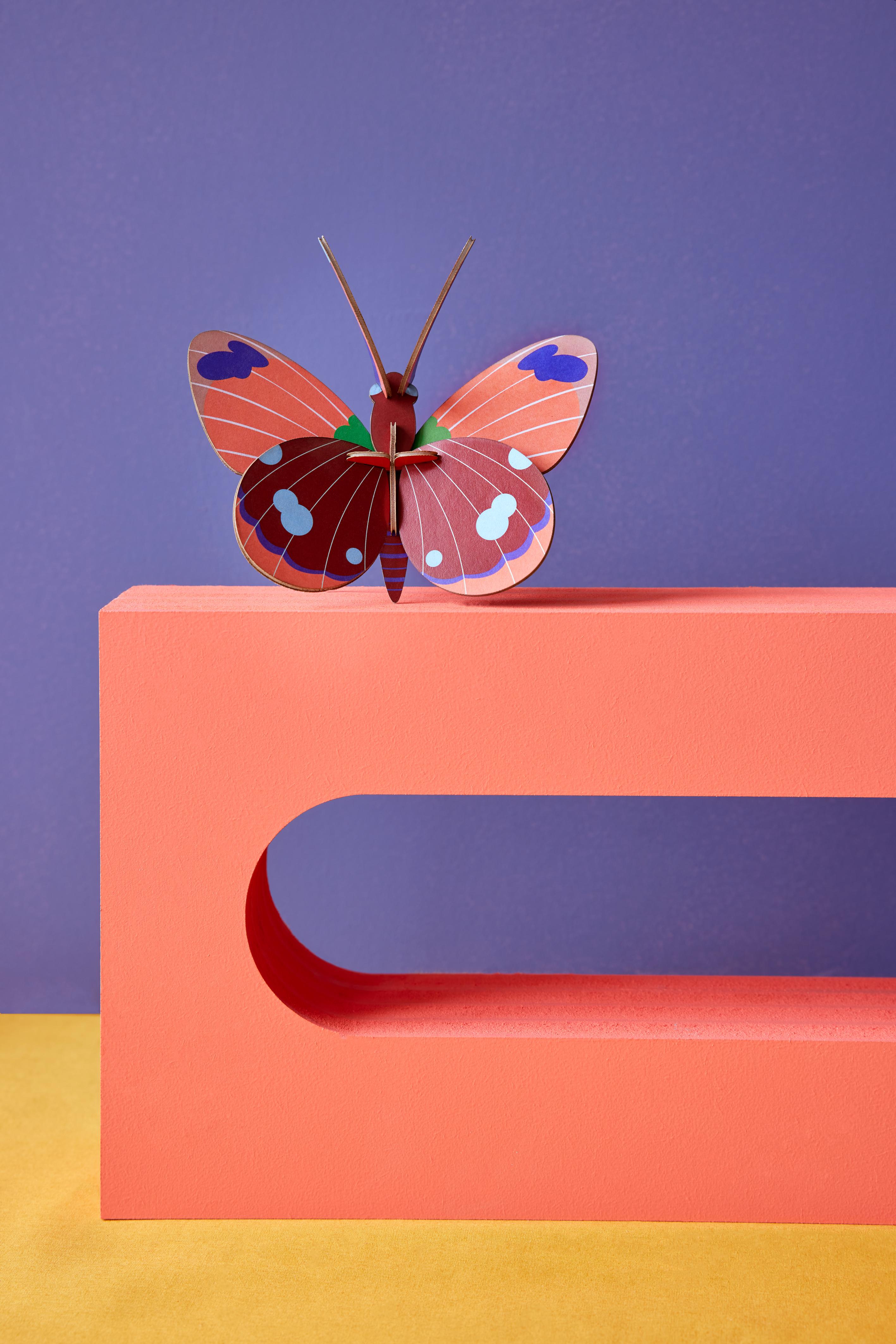 Delias Butterfly - Studio ROOF