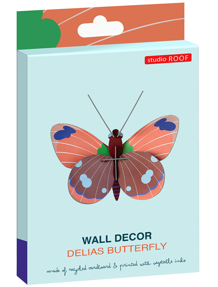 Delias Butterfly - Studio ROOF