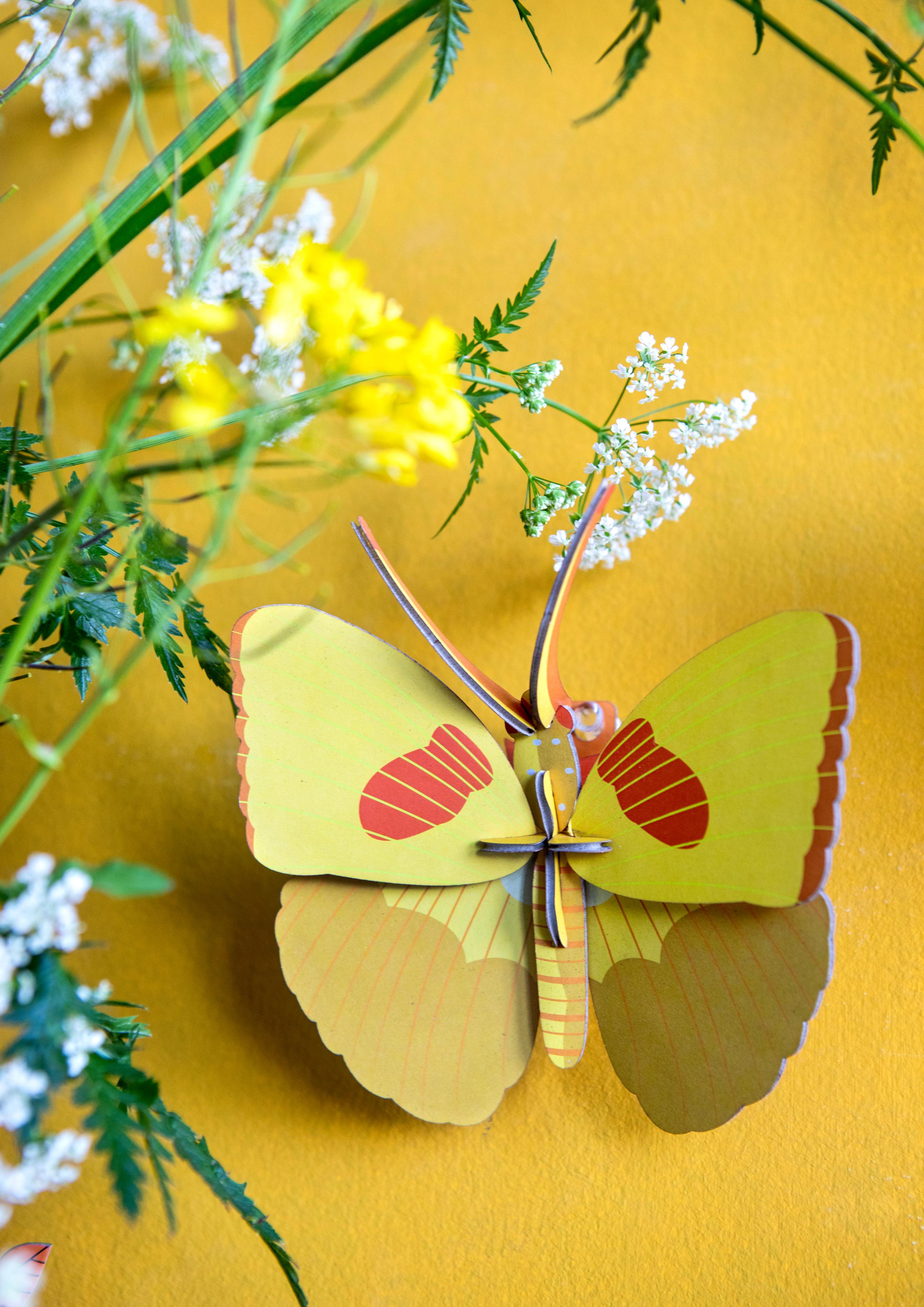 Yellow Butterfly - Studio ROOF