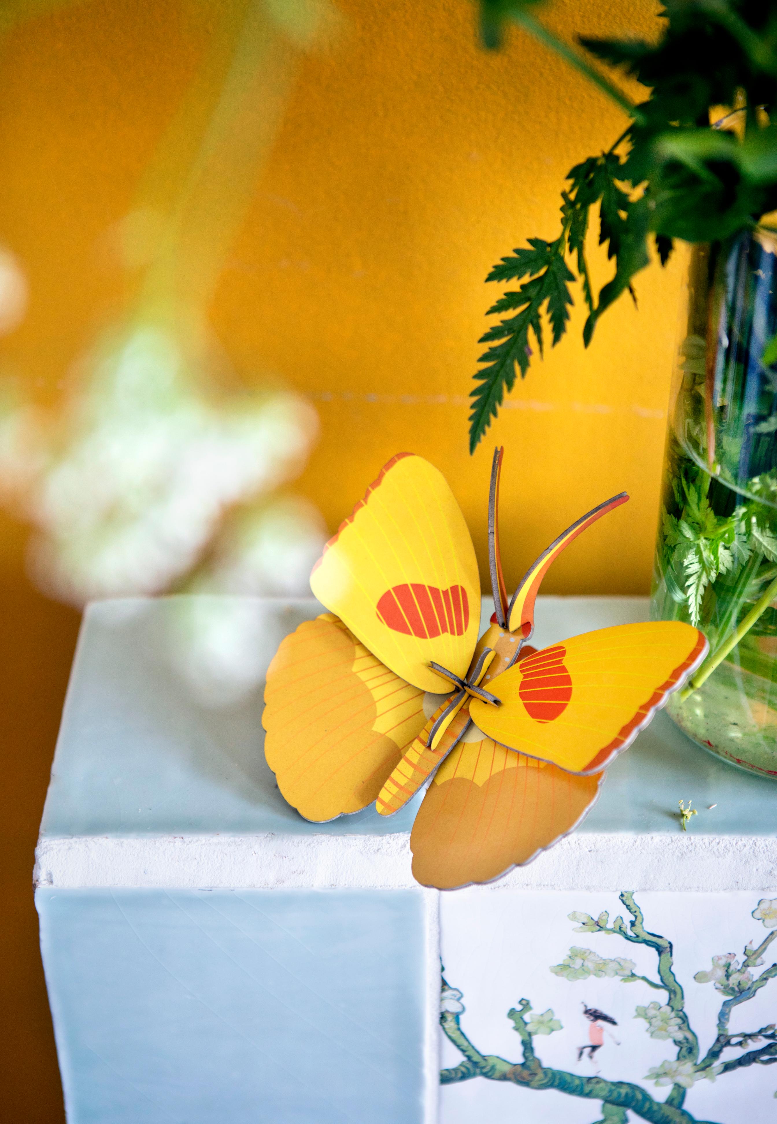 Yellow Butterfly - Studio ROOF