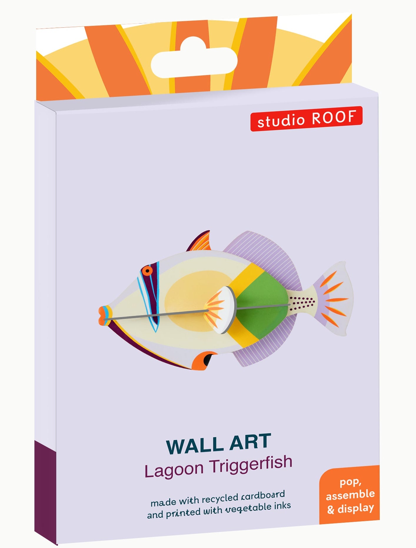 Lagoon Triggerfish - Studio ROOF