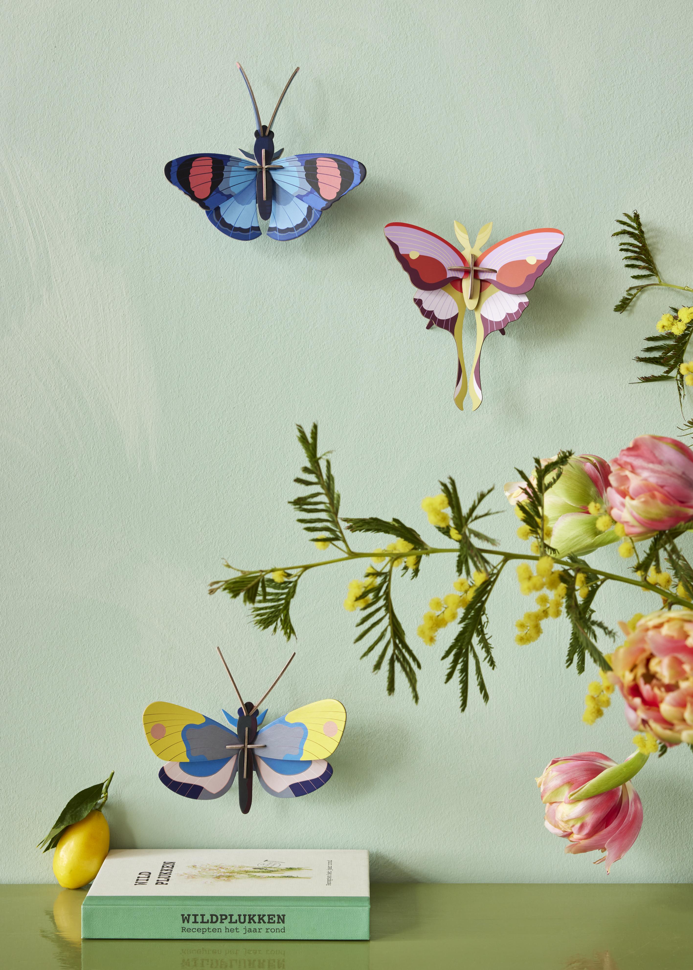 Lilac Comet Butterfly - Studio ROOF