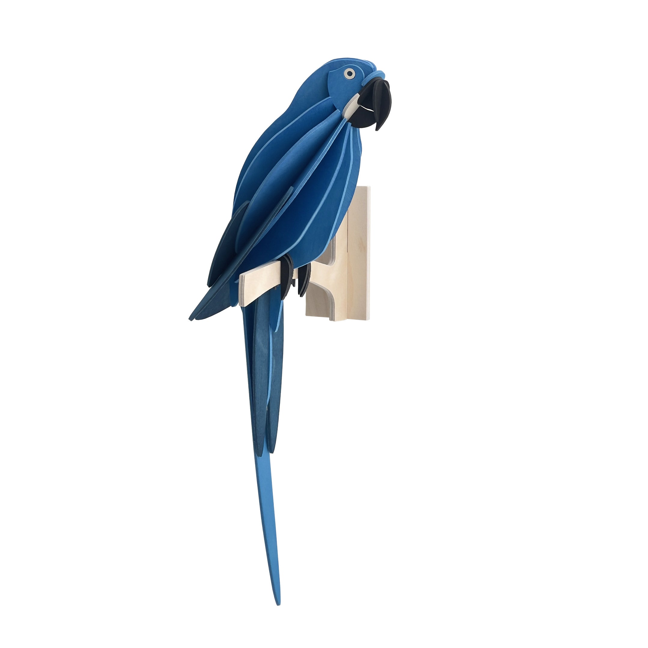 Blå Papegøje - Hyacinth Macaw - Lovi