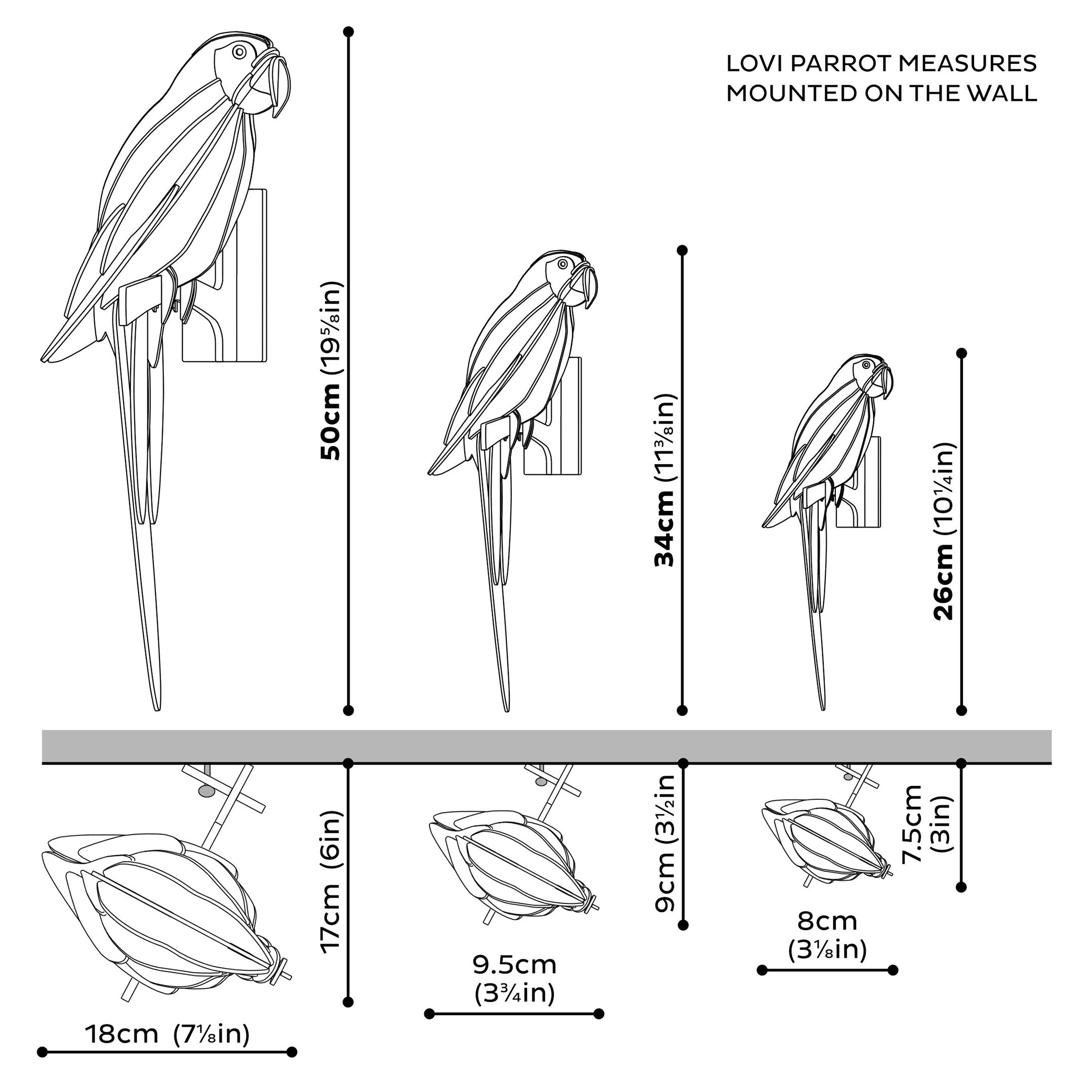 Blå Papegøje - Hyacinth Macaw - Lovi