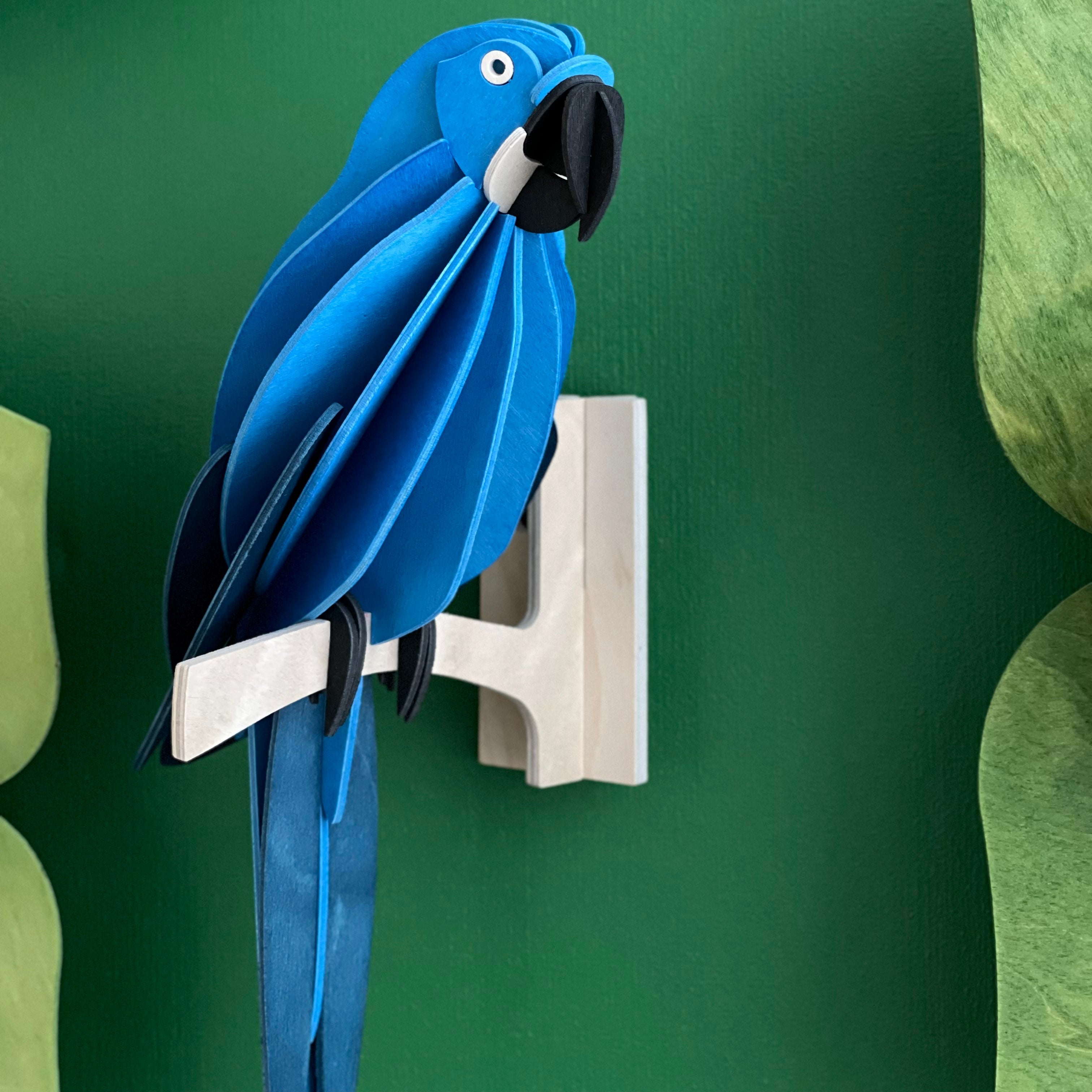 Blå Papegøje - Hyacinth Macaw - Lovi
