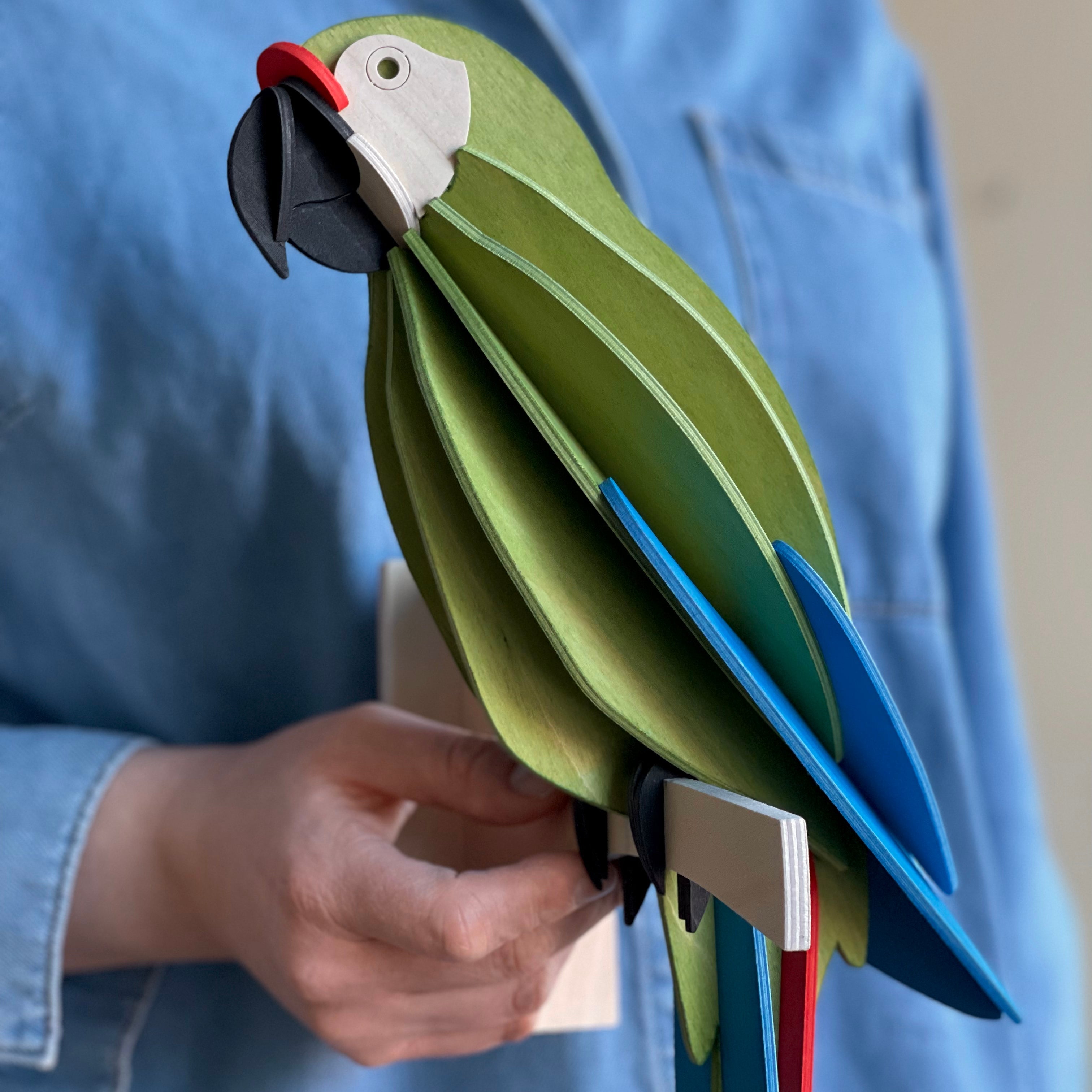 Grøn Papegøje - Great Green Macaw - Lovi