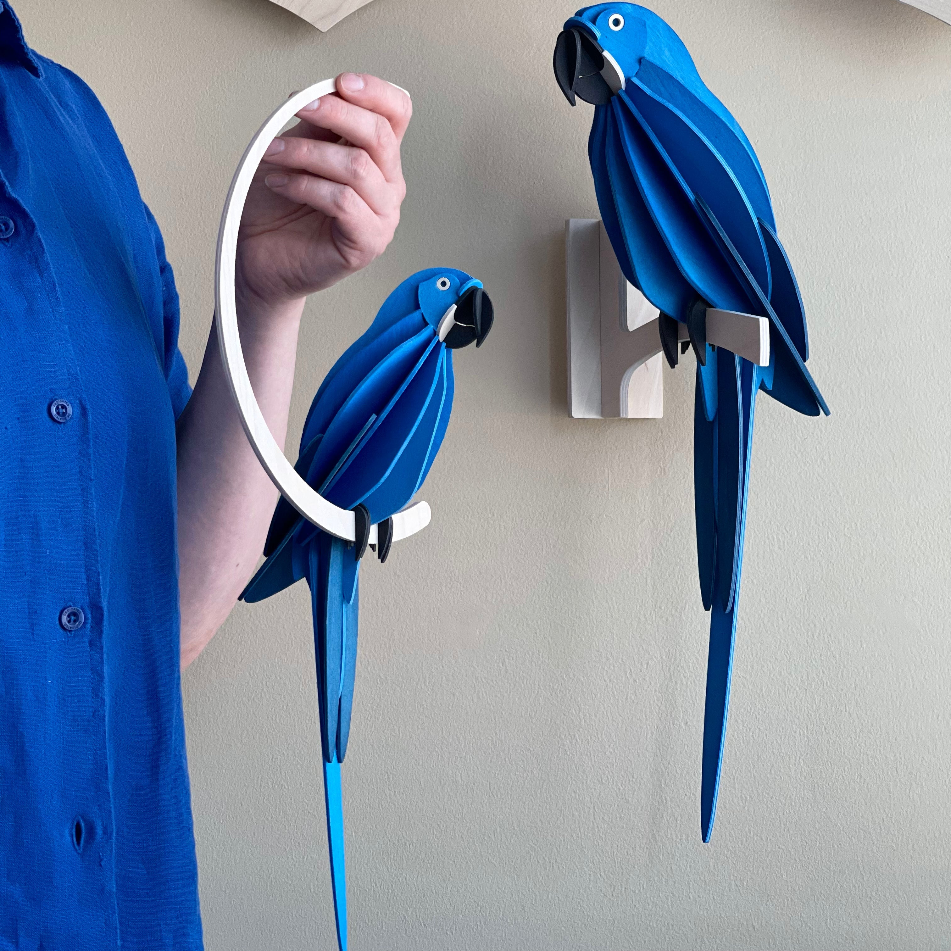 Blå Papegøje - Hyacinth Macaw - Lovi