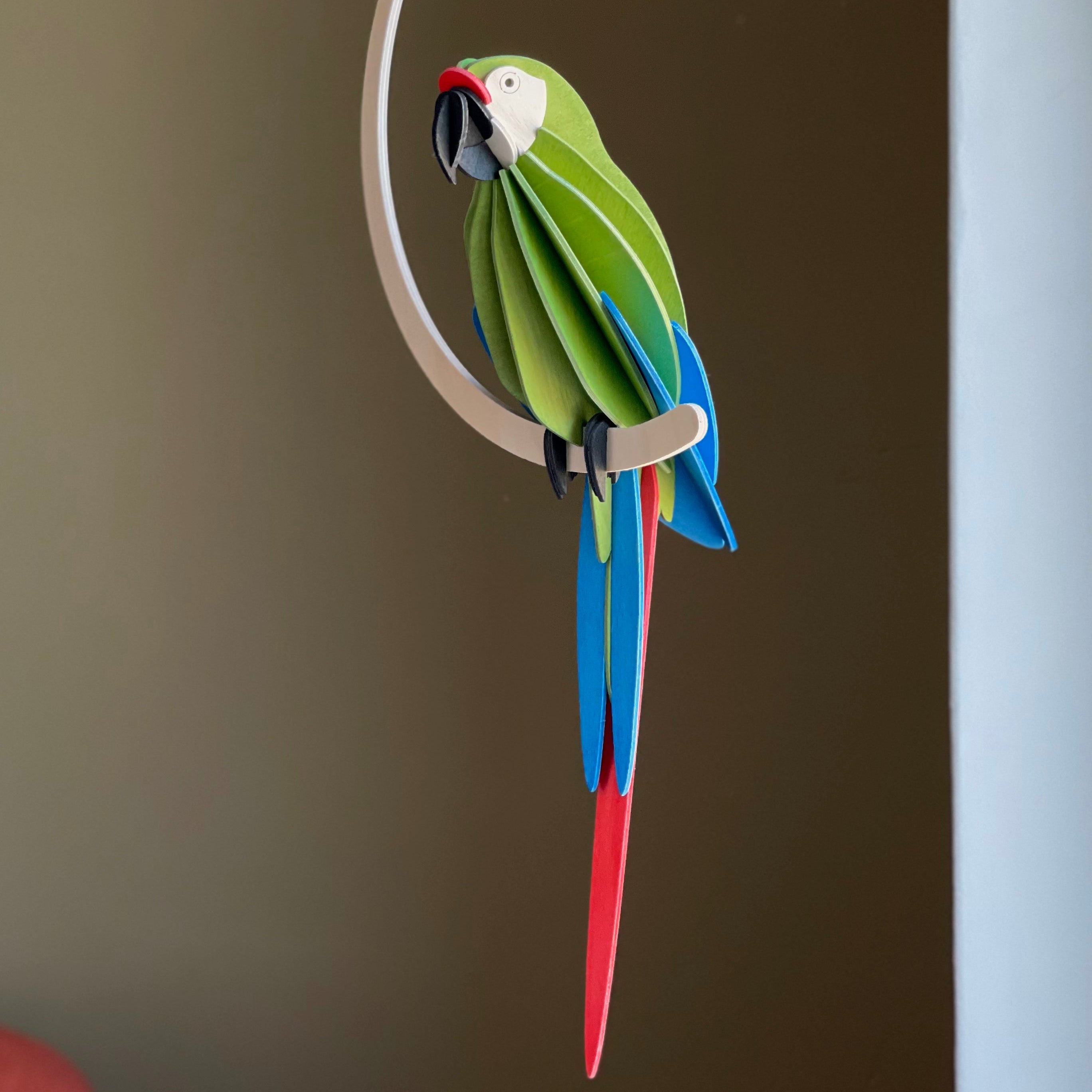 Grøn Papegøje - Great Green Macaw - Lovi