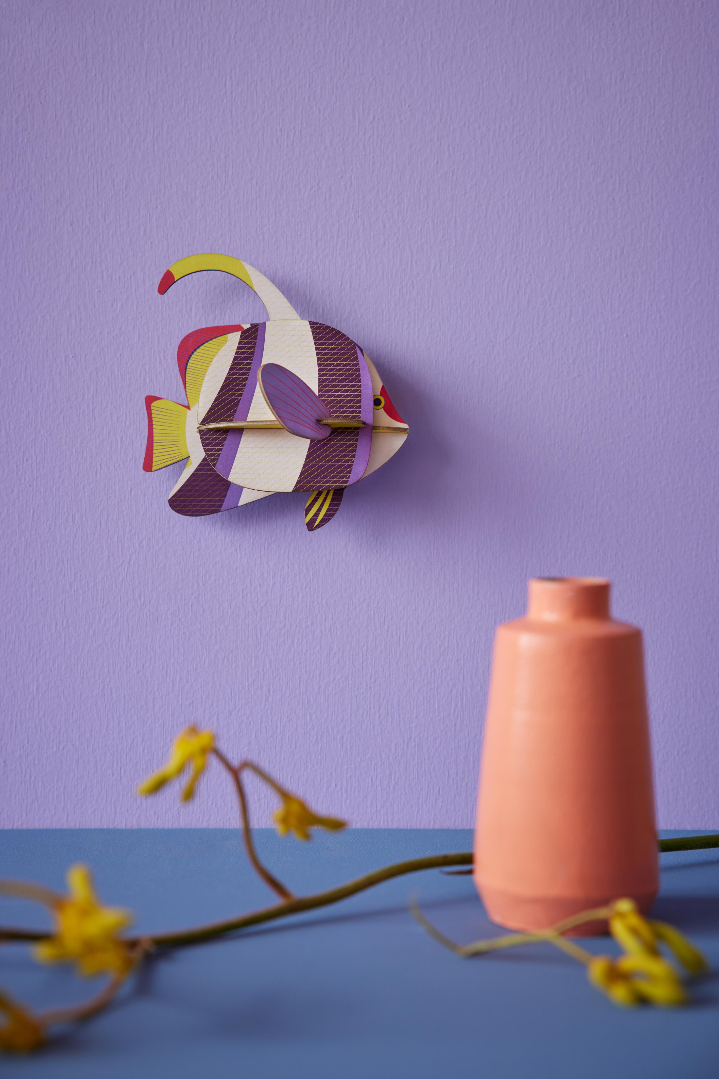 Marine Angelfish - Studio ROOF