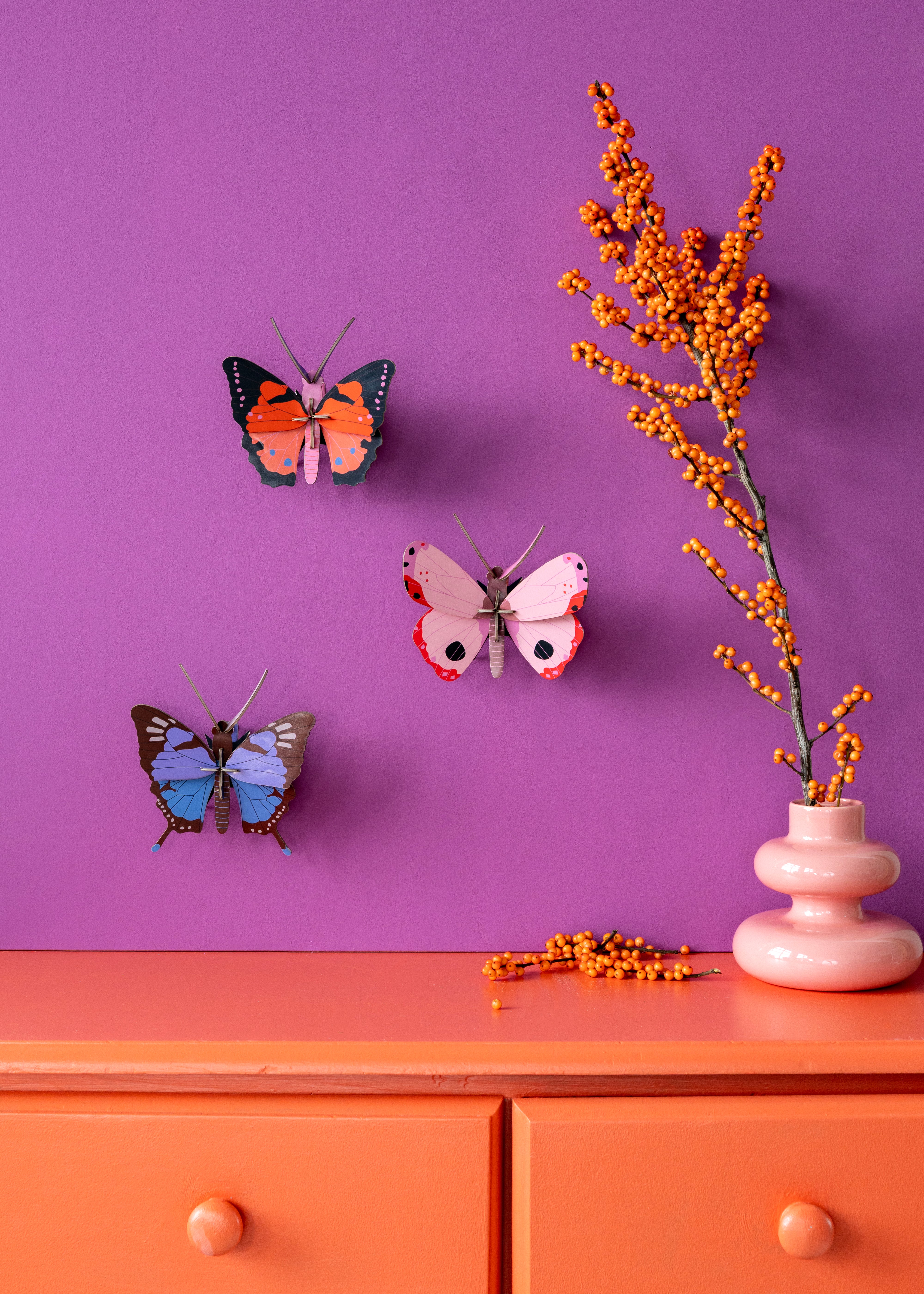 Rosora Butterfly - Studio ROOF