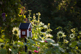 Multi-Fuglekasse/Foderhus - Red Cottage - Ekskl. Pæl