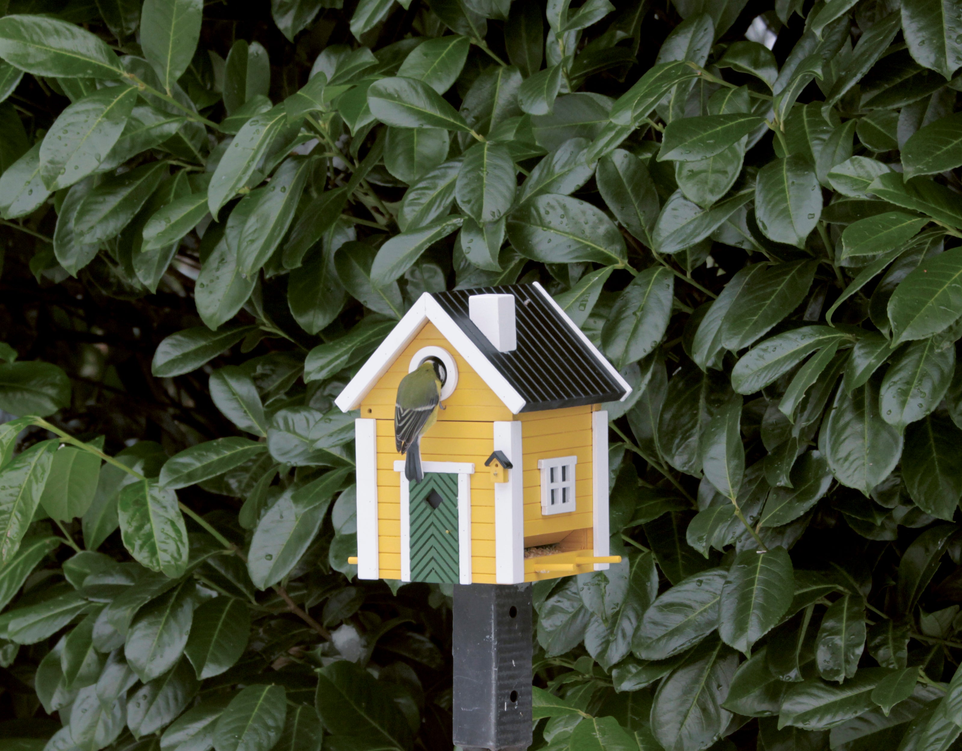 Multi-Fuglekasse/Foderhus - Yellow Cottage - Ekskl. Pæl