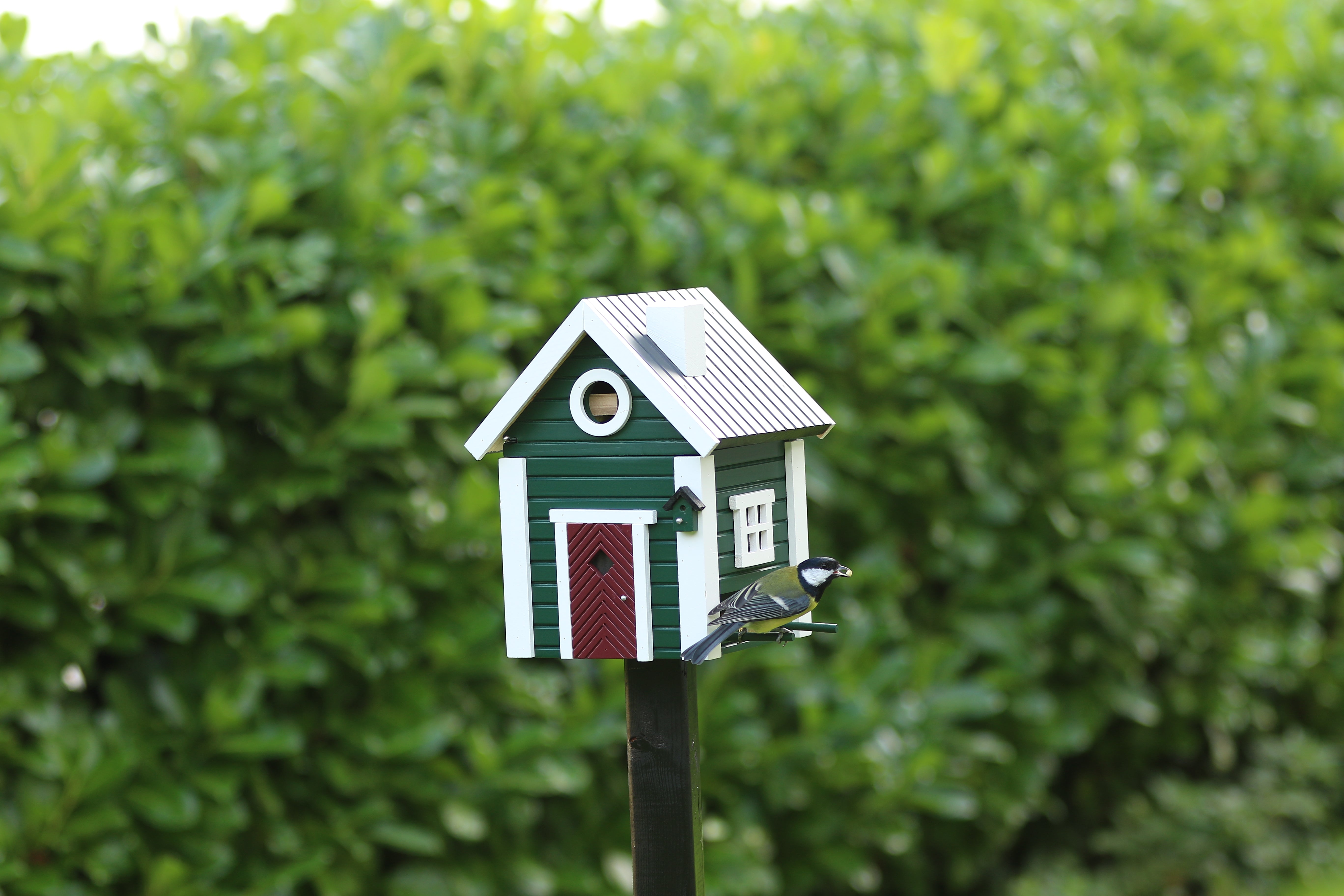 Multi-Fuglekasse/Foderhus - Green Cottage - Ekskl. Pæl